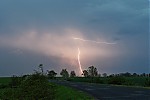 IMG_7564_crop_small.JPG