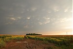 IMG_8141_2_3.jpg