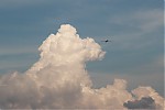 IMG_9622.JPG