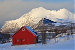 IMG_0476b-1.jpg