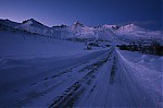 IMG_0658c-1.jpg