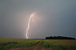 IMG_4960b.JPG