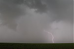 IMG_5527b.jpg