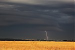 IMG_6177f.jpg