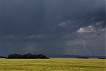 IMG_6268d.jpg
