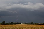 IMG_6310c.jpg