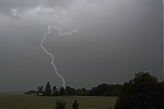 IMG_6570b.jpg