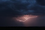 IMG_7130b.jpg