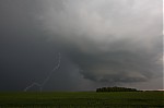 IMG_7234d-1-2.jpg
