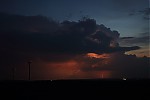 IMG_9781b.jpg