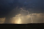 IMG_9813c.jpg