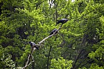 IMG_0033.jpg