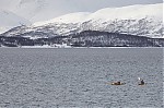 IMG_0408.jpg