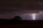 IMG_0564.jpg
