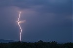 IMG_1616.jpg