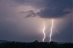 IMG_1618.jpg