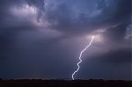 IMG_1626.jpg