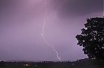 IMG_1641.jpg