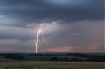 IMG_1826.jpg