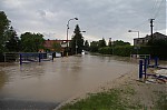 IMG_8423.JPG