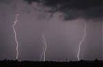IMG_1998.jpg