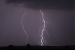 IMG_2009.jpg
