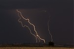 IMG_8226.jpg