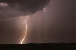 IMG_8280.jpg