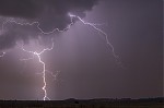 IMG_8284.jpg