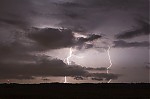IMG_8313.jpg