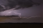 IMG_8319.jpg