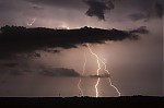 IMG_8328.jpg