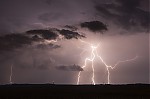 IMG_8332.jpg