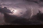 IMG_8339.jpg