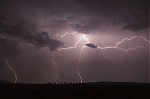 IMG_8343.jpg