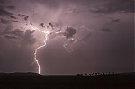 IMG_8345.jpg