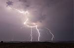 IMG_8383.jpg