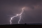 IMG_8406.jpg