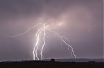 IMG_8409.jpg