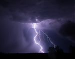 N02_3205.png