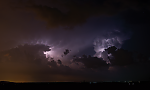 N03_1787_28229.png