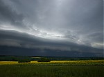 _5190424_28129.jpg