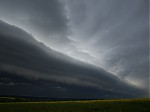 _5190463_28129.jpg