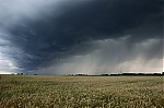 DSC04771u.jpg