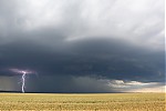 IMG_0949uu.JPG