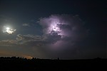 IMG_2500.JPG