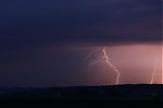 IMG_9239.JPG