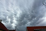 IMG_3998.jpg