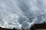 IMG_4003.jpg