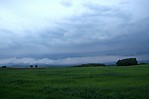 IMG_8486.jpg